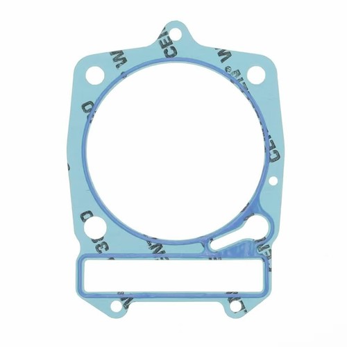Cylinder base gasket - cylinder,